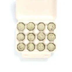 12 Barn Owl Eggs by The Chocolate Detective