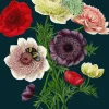 Anemones Greetings Card