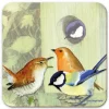 British Birds 1 Coaster