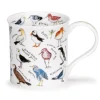 Bute Birdlife Coastal Birds