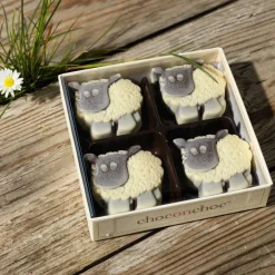 Chocolate Sheep