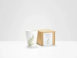 Curled Fern Beaker