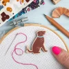 Dog Magnetic Needle Holder