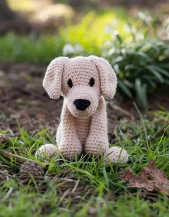 Eleanor the Labrador Kit