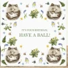 'Have A Ball' Hedgehogs Birthday Card