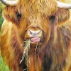 Highland Cow by Gill Erskine-Hill 1000 piece Jigsaw