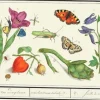 In the Garden - Little Vintage Greeting Card