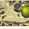 Kew Gardens Lemongrass & Lime Soap
