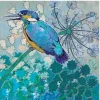 Kingfisher Greetings Card