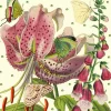 Lily Glitter Birthday Card