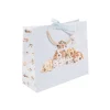 'Little Paws' Dog Gift Bag
