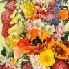 Next to the Potting Shed Greetings Card