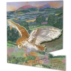 Owl Die-Cut Greetings Card