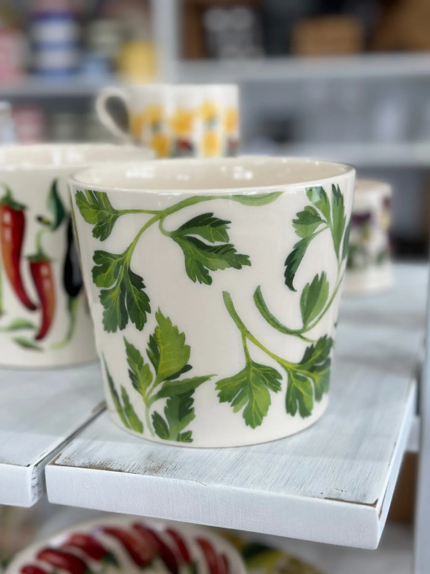 Parsley Plant Pot