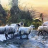 Pastures New 500 Piece Jigsaw Puzzle
