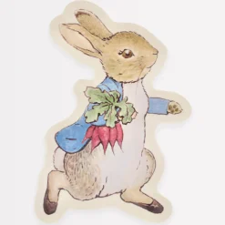 Peter Rabbit Reusable Plate