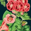 Pink Geranium Greeting Card