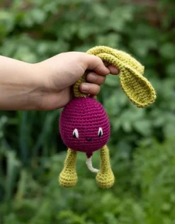 Radish Kit