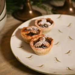 Robins Stoneware Dinner Plate