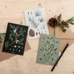 Species Range - Box of 8 Luxury Botanical Christmas Cards