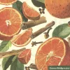 Spiced Oranges Lunch Napkins