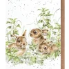 'Spring Hares' Bunny Greetings Card