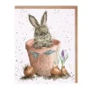 'The Flower Pot' Greetings Card