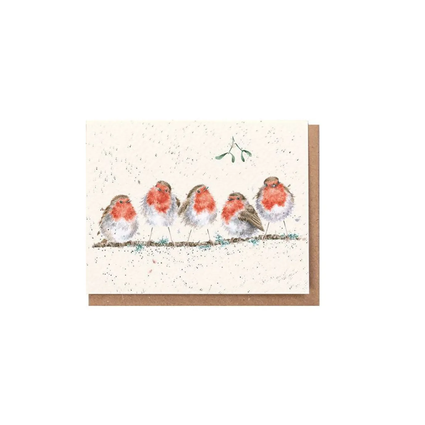 'Tis The Season to be Jolly' Robin Gift Enclosure Card