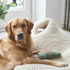 Tweed Dog Bone Shaped Dog Toy - Green