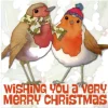 Two Robins Pack of 6 Christmas Cards